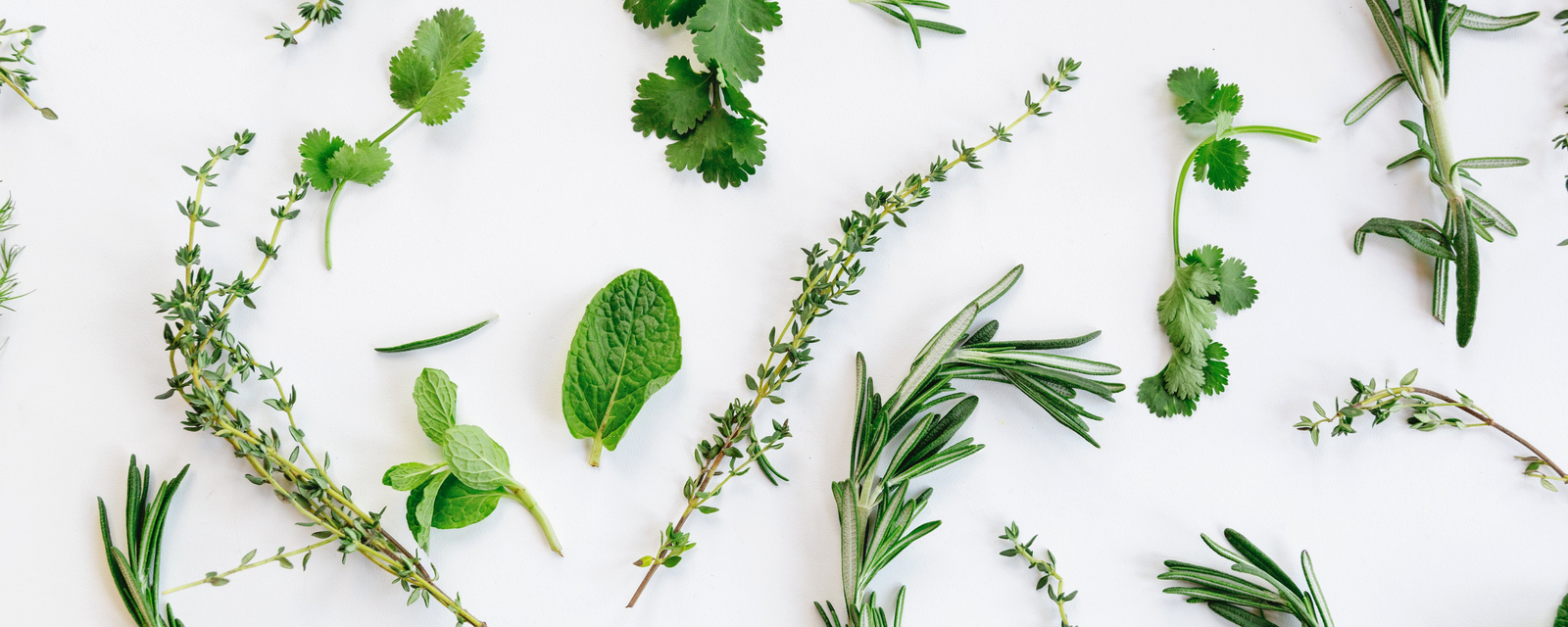 Fresh Flavors: The Best Herbs to Cook with During Spring