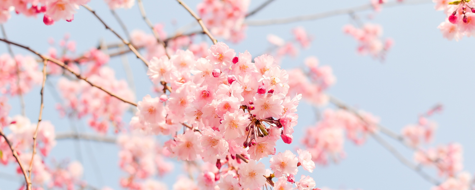 5 Signs Your Hormones May Be Out of Balance (That Aren’t Talked About Enough)