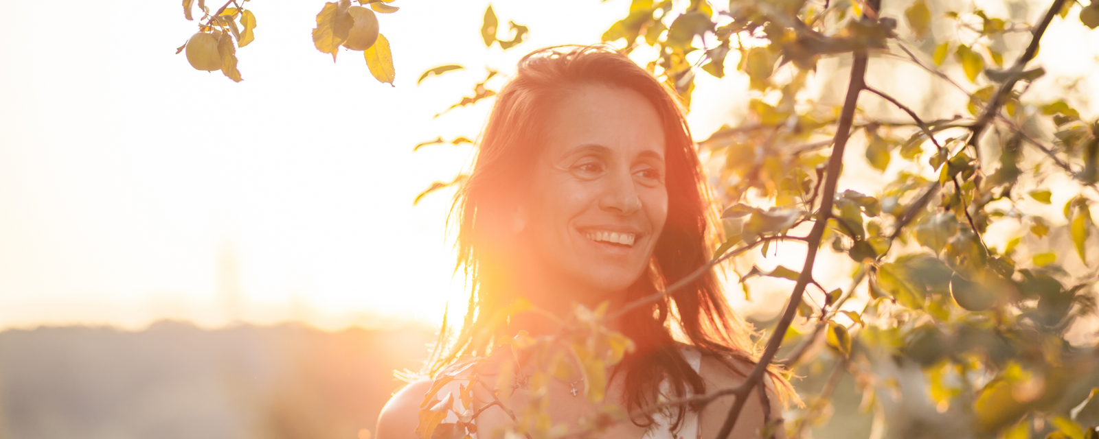 Menopause: What is it?